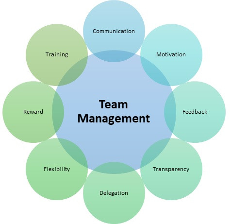 Team Management 2025